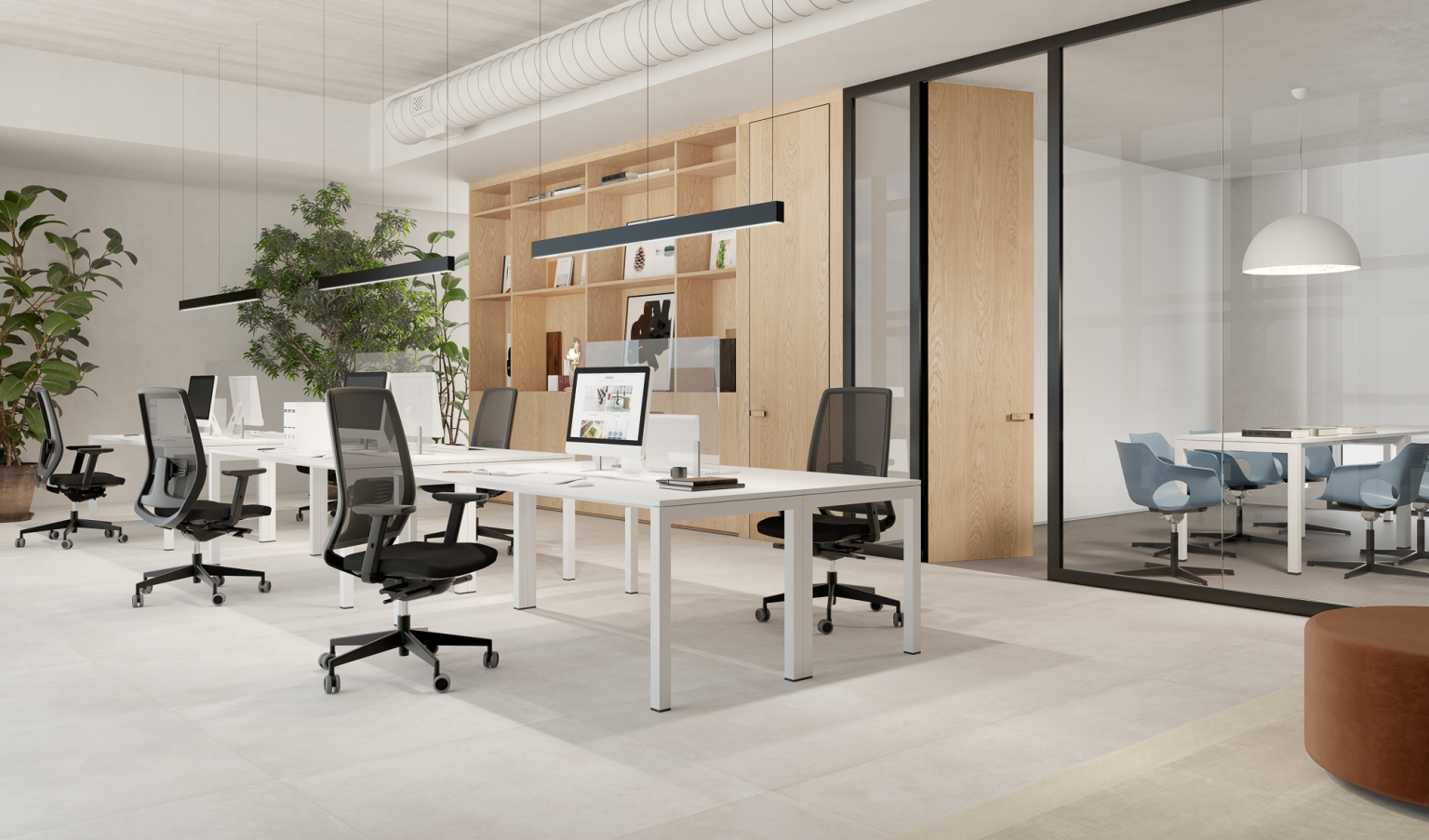 Open-plan office with white desks, black ergonomic chairs, and tall plants, separated by glass partitions and wooden storage shelves.